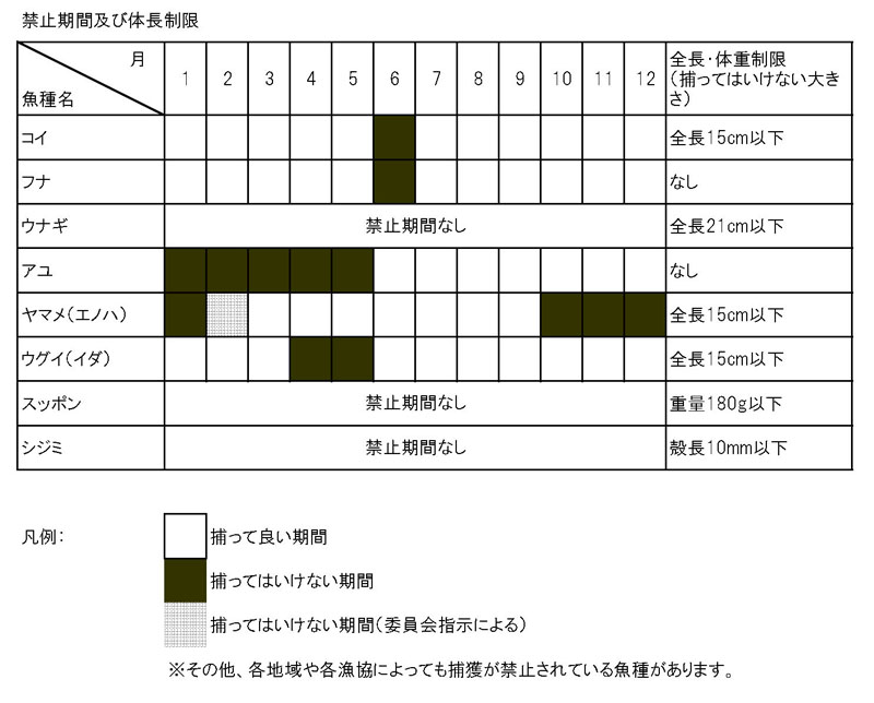 禁止期間及び体調制限